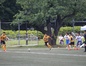 試合シーン22