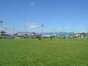 試合シーン04