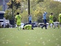 試合シーン40