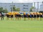 試合シーン44