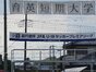 試合シーン02