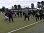 試合シーン14