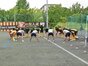 試合シーン11