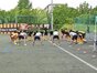 試合シーン12