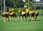 試合シーン43