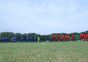 試合シーン08