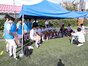試合シーン01