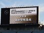 試合シーン172