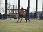 試合シーン15
