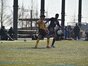 試合シーン16