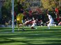 試合シーン36
