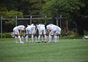 試合シーン04
