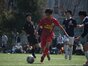 試合シーン100