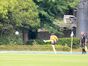 試合シーン45