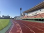 試合シーン14